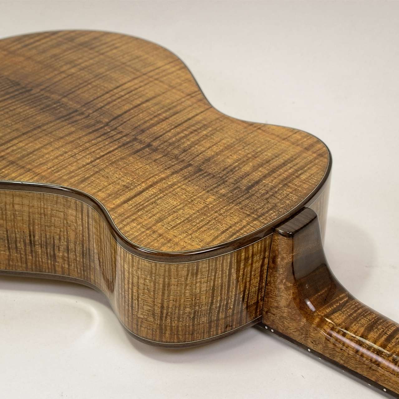 Australian Blackwood